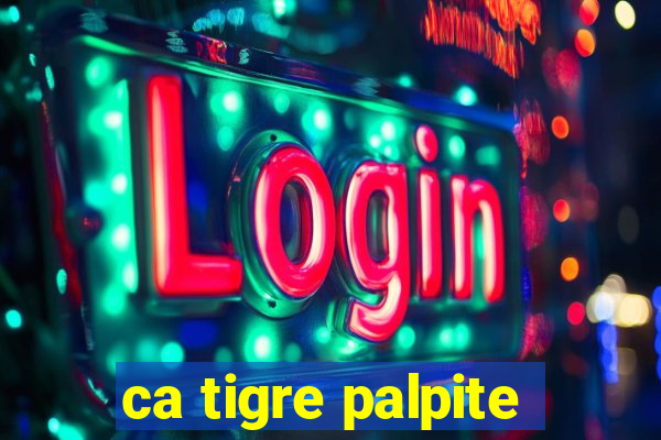 ca tigre palpite